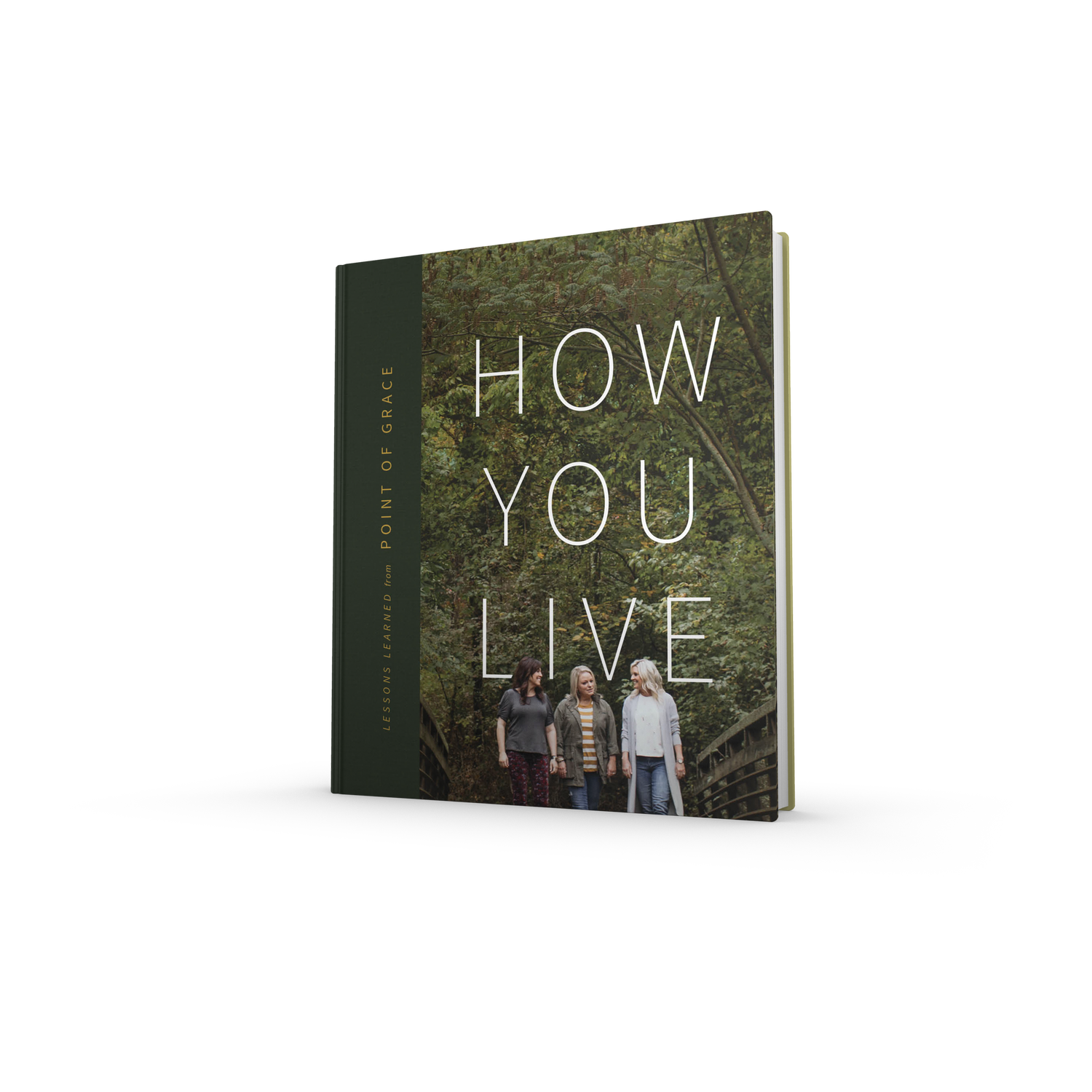 How You Live Book